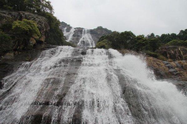 除虫大师